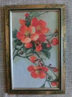 looking 1 otshiv.jpg