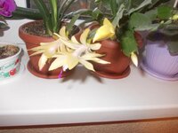 Изображение 070.jpg