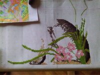 IMAG0087 [Разрешение рабочего стола].JPG