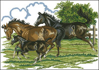 лошади прогулка.jpg