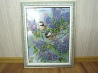 7 Синички.jpg