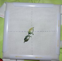 Изображение 027.jpg