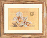 34.745 The orchids.jpg