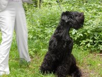 2015-07-11 10-57-06.jpg