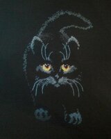 1.  Чёрный кот.jpg