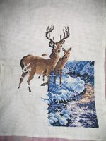 Изображение 019.jpg