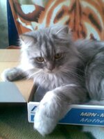 фото с телефона 081.jpg