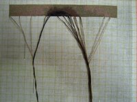 1 начало 21 апреля.jpg