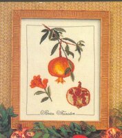 botanical pomegranate.jpg