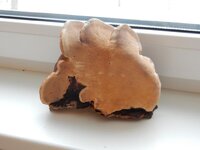 2016-01-14 13-55-54.jpg