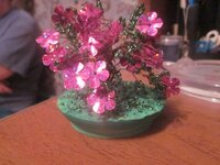 Изображение 184.jpg