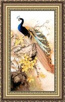 Красотата на пауна.jpg