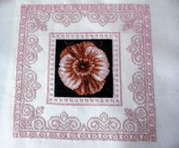 01_роза песков 02.jpg