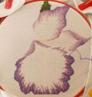 Изображение 287931.jpg