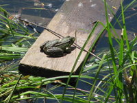 Богуслав 069.jpg