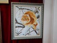 2015-09-25 11-38-22.jpg