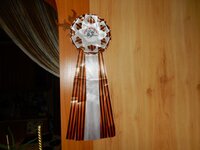 2015-07-15 13-49-38.jpg