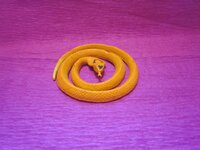 Изображение 32058.jpg