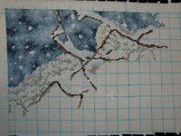 CIMG1099 (1024x768).jpg