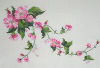 01_шиповник 02.jpg