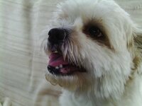 IMAG4338 [Разрешение рабочего стола].JPG