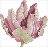 Lanarte 34899-Tulip.jpg