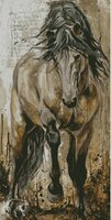 конь.jpg