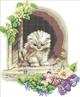 Котенок на подоконнике (цв.гр, xsd).jpg