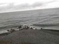 2014-04-27 11.48.50.jpg