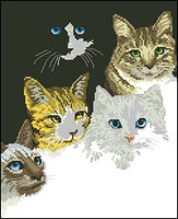 Janlynn 13-249 Cats eyes.jpg
