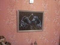 Изображение 531.jpg