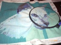 Изображение 015.jpg