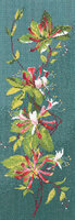 Heritage JCHK585_Honeysuckle.jpg