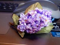 2016-01-31 19-16-36.jpg