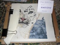 Леопард. Ускорение.jpg