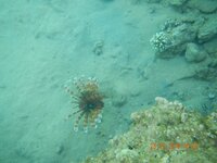 отдых 2014 май 763.jpg