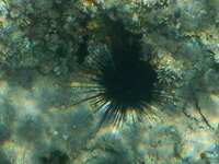 отдых 2014 май 535.jpg