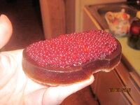 Изображение 32716.jpg