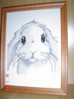 Грустный заяц.jpg