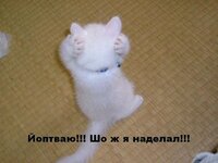 пїЅпїЅпїЅпїЅпїЅпїЅпїЅ 018.jpg