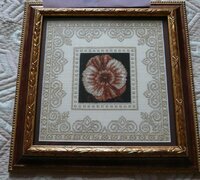 01_роза песков 01.jpg