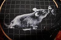 полинка 1.JPG