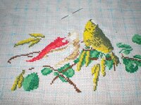 туннус - 07.jpg