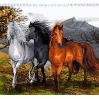 Волни коне.jpg