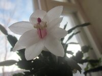 Изображение 252.jpg