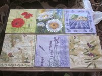 Изображение 31726.jpg