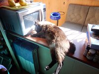 2016-04-04 10-44-26.jpg