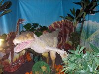 Изображение 015.jpg