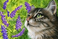 Purple Vetch.jpg