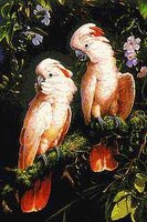 два розовых какаду.jpg